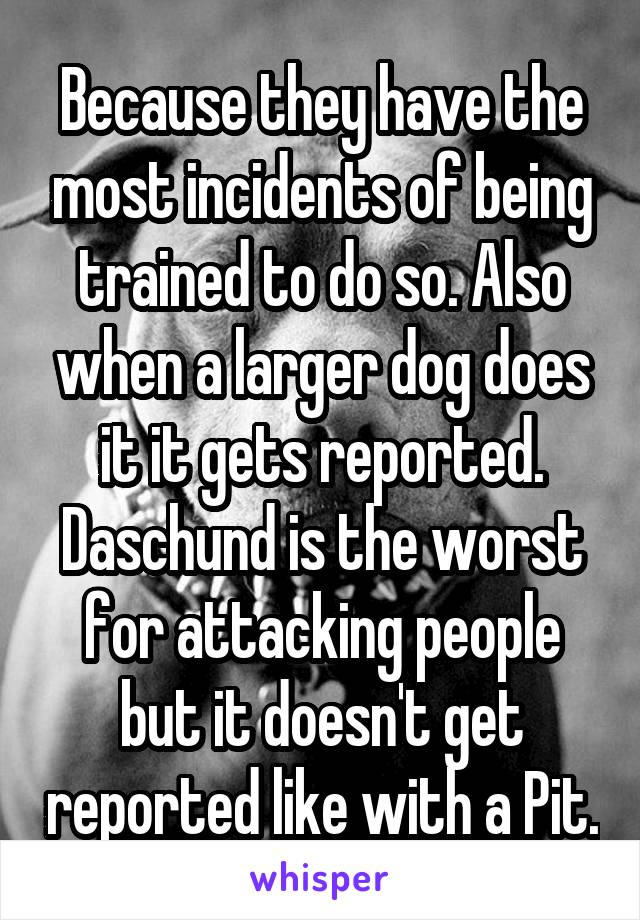 Because they have the most incidents of being trained to do so. Also when a larger dog does it it gets reported. Daschund is the worst for attacking people but it doesn't get reported like with a Pit.