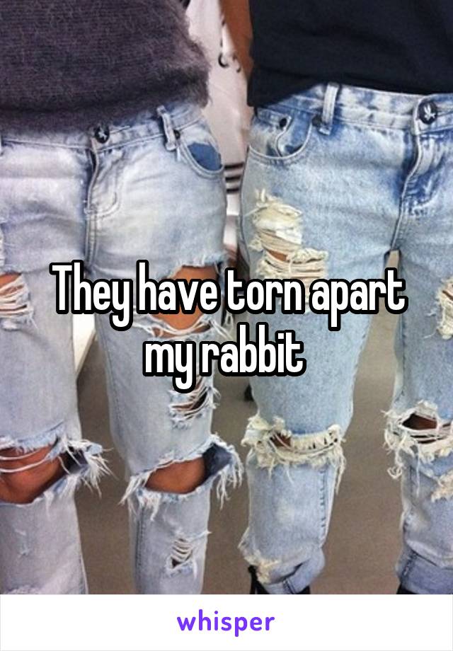 They have torn apart my rabbit 