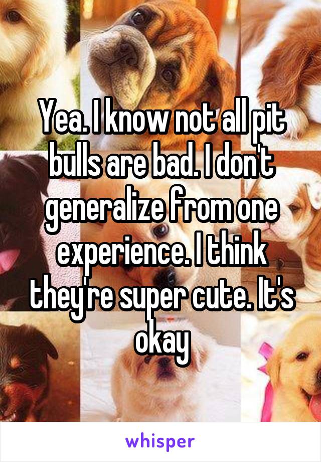 Yea. I know not all pit bulls are bad. I don't generalize from one experience. I think they're super cute. It's okay