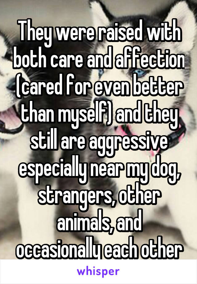 They were raised with both care and affection (cared for even better than myself) and they still are aggressive especially near my dog, strangers, other animals, and occasionally each other