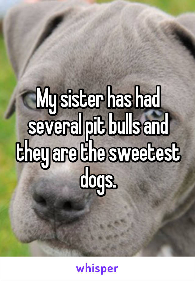 My sister has had several pit bulls and they are the sweetest dogs.