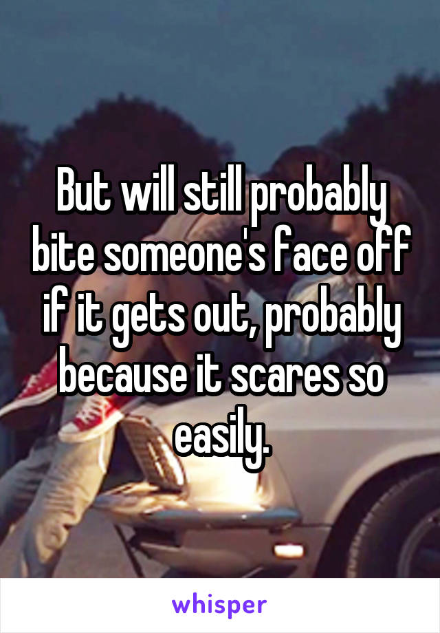 But will still probably bite someone's face off if it gets out, probably because it scares so easily.