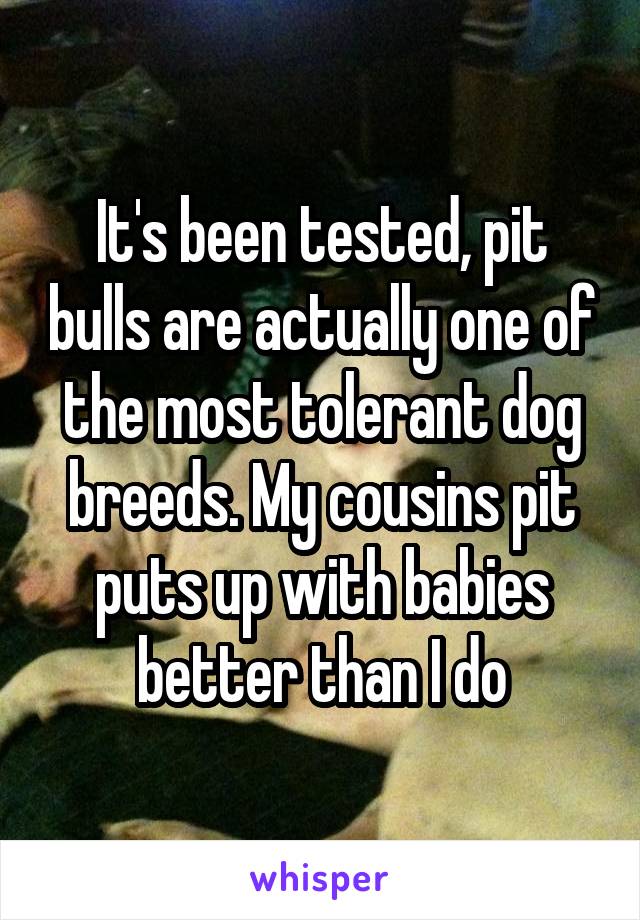 It's been tested, pit bulls are actually one of the most tolerant dog breeds. My cousins pit puts up with babies better than I do