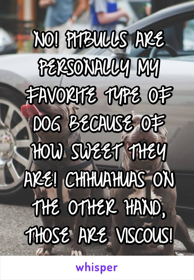 NO! PITBULLS ARE PERSONALLY MY FAVORITE TYPE OF DOG BECAUSE OF HOW SWEET THEY ARE! CHIHUAHUAS ON THE OTHER HAND, THOSE ARE VISCOUS!