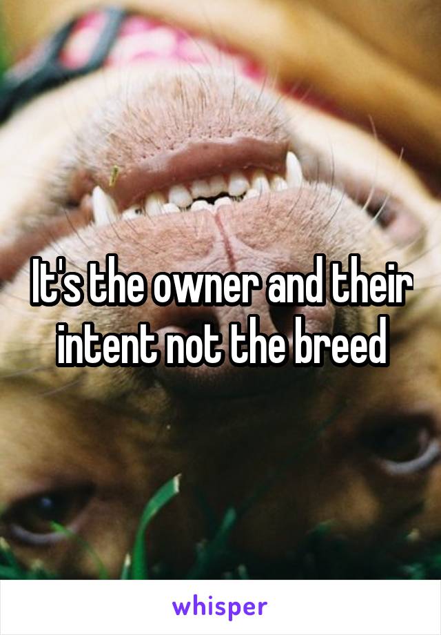 It's the owner and their intent not the breed