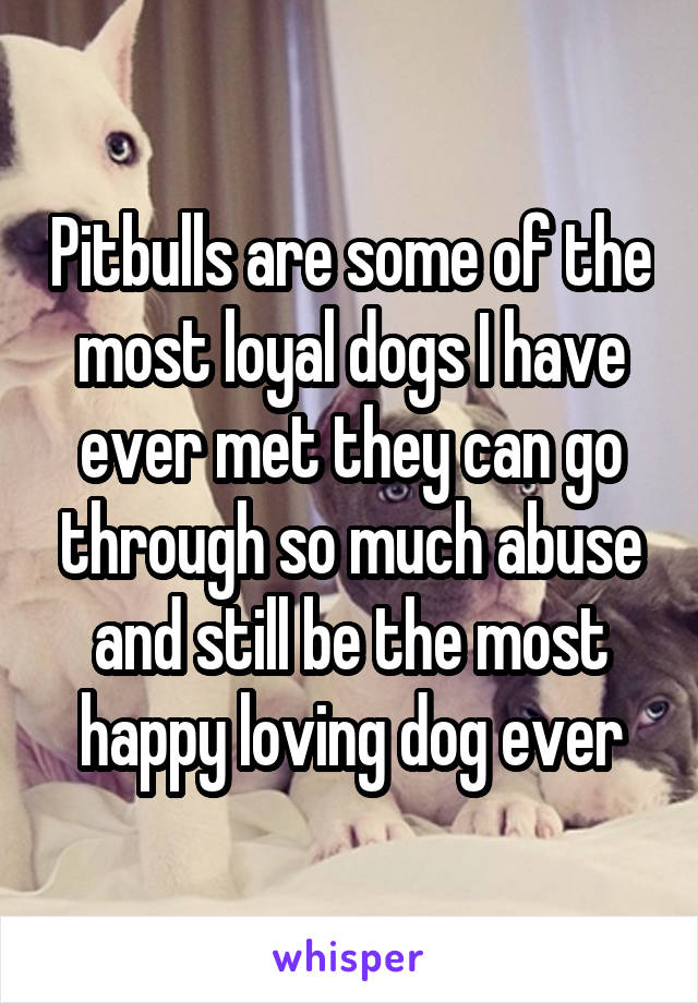 Pitbulls are some of the most loyal dogs I have ever met they can go through so much abuse and still be the most happy loving dog ever