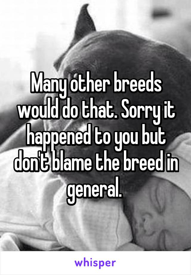 Many other breeds would do that. Sorry it happened to you but don't blame the breed in general. 