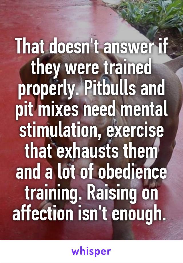 That doesn't answer if they were trained properly. Pitbulls and pit mixes need mental stimulation, exercise that exhausts them and a lot of obedience training. Raising on affection isn't enough. 