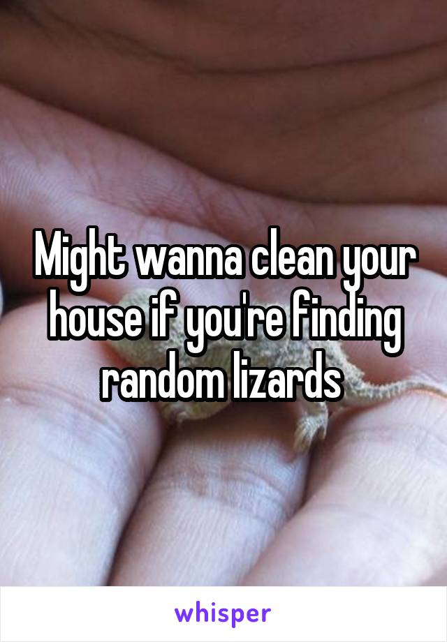 Might wanna clean your house if you're finding random lizards 