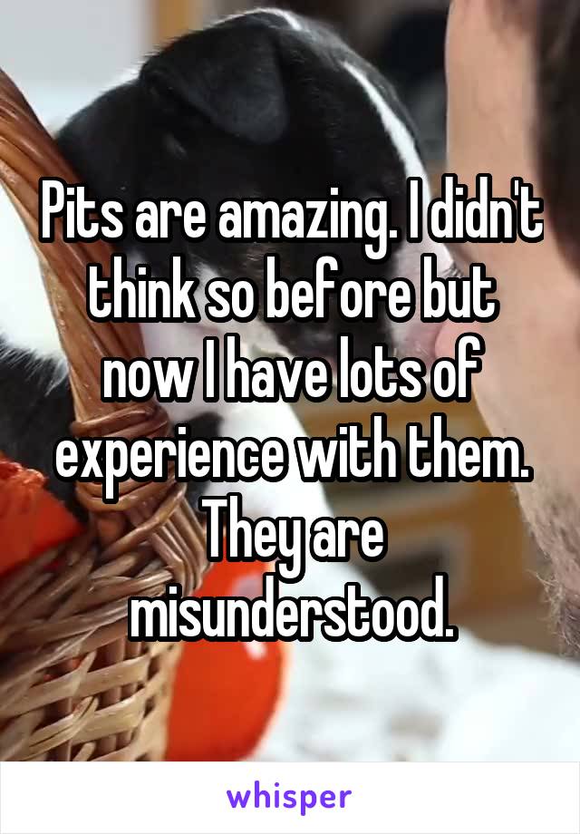 Pits are amazing. I didn't think so before but now I have lots of experience with them. They are misunderstood.