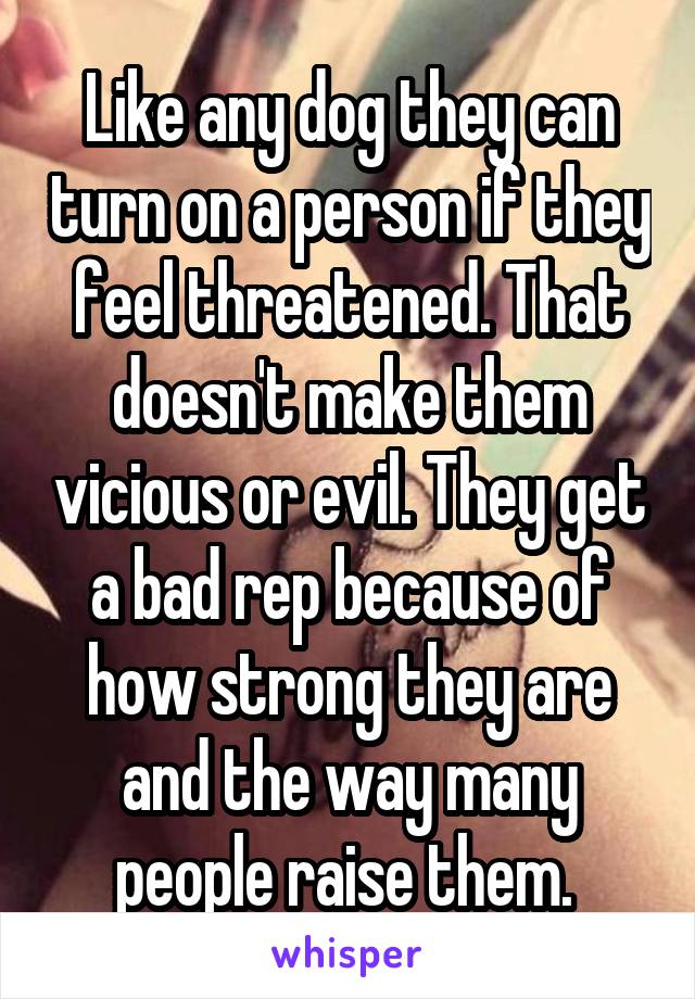 Like any dog they can turn on a person if they feel threatened. That doesn't make them vicious or evil. They get a bad rep because of how strong they are and the way many people raise them. 