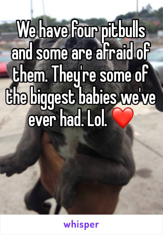 We have four pitbulls and some are afraid of them. They're some of the biggest babies we've ever had. Lol. ❤️