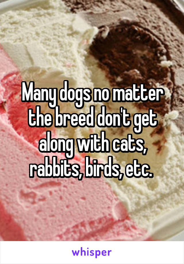 Many dogs no matter the breed don't get along with cats, rabbits, birds, etc. 