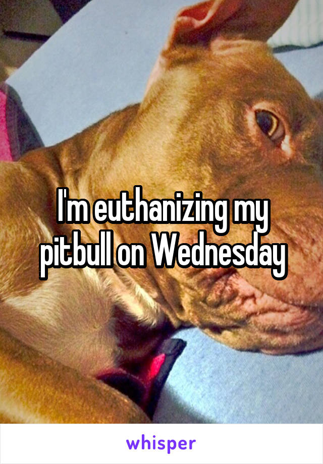 I'm euthanizing my pitbull on Wednesday