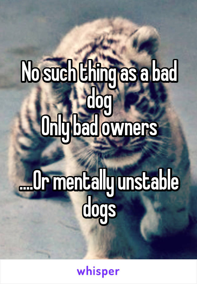 No such thing as a bad dog
Only bad owners

....Or mentally unstable dogs