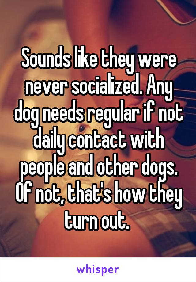 Sounds like they were never socialized. Any dog needs regular if not daily contact with people and other dogs. Of not, that's how they turn out. 