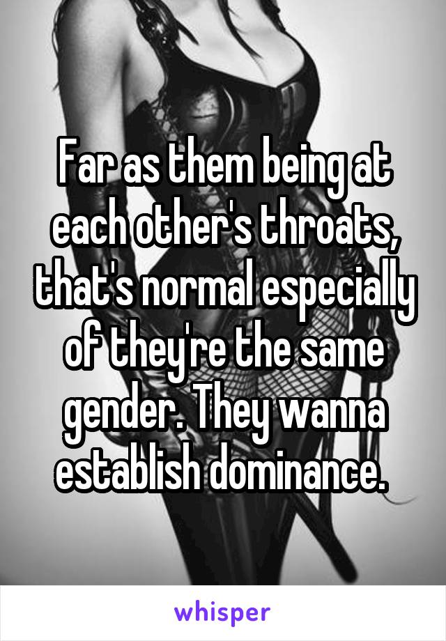 Far as them being at each other's throats, that's normal especially of they're the same gender. They wanna establish dominance. 