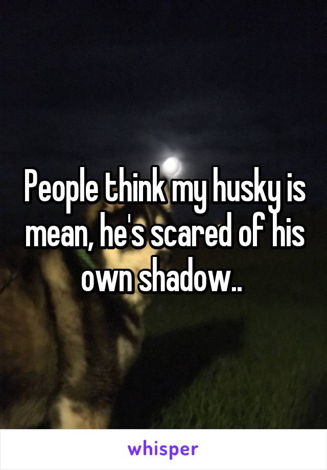 People think my husky is mean, he's scared of his own shadow.. 