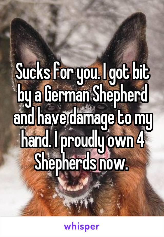 Sucks for you. I got bit by a German Shepherd and have damage to my hand. I proudly own 4 Shepherds now. 