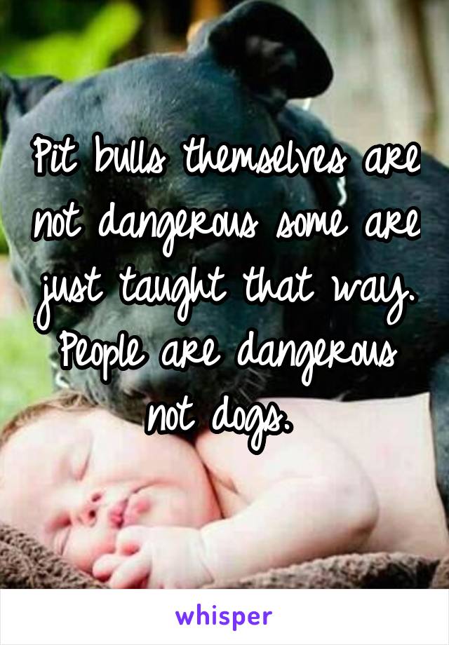 Pit bulls themselves are not dangerous some are just taught that way. People are dangerous not dogs. 
