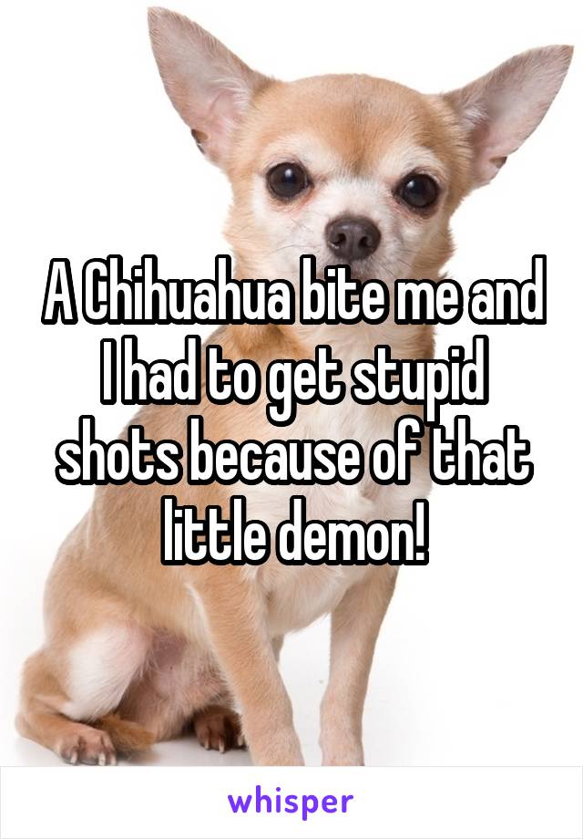 A Chihuahua bite me and I had to get stupid shots because of that little demon!