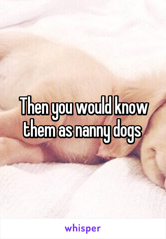 Then you would know them as nanny dogs 