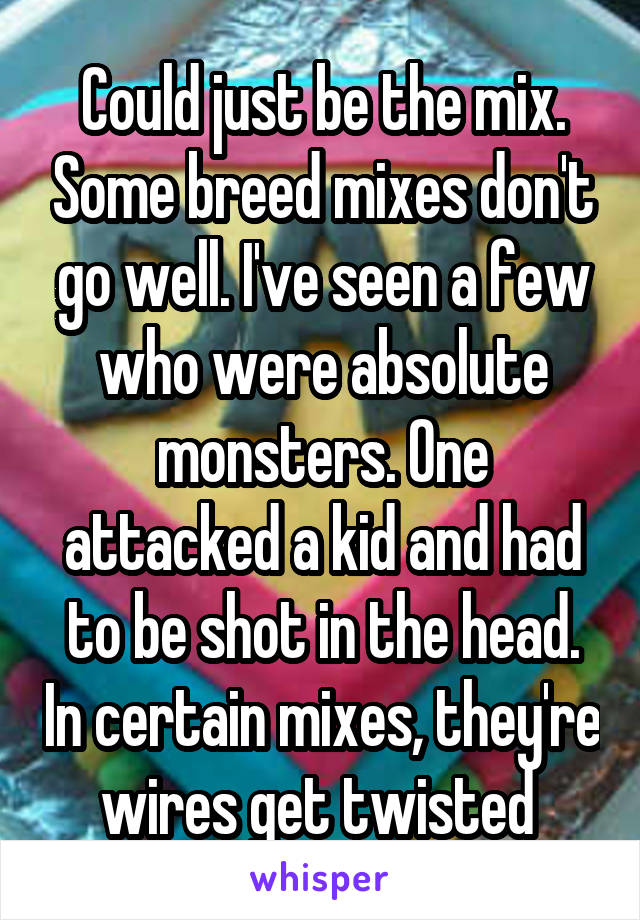 Could just be the mix. Some breed mixes don't go well. I've seen a few who were absolute monsters. One attacked a kid and had to be shot in the head. In certain mixes, they're wires get twisted 