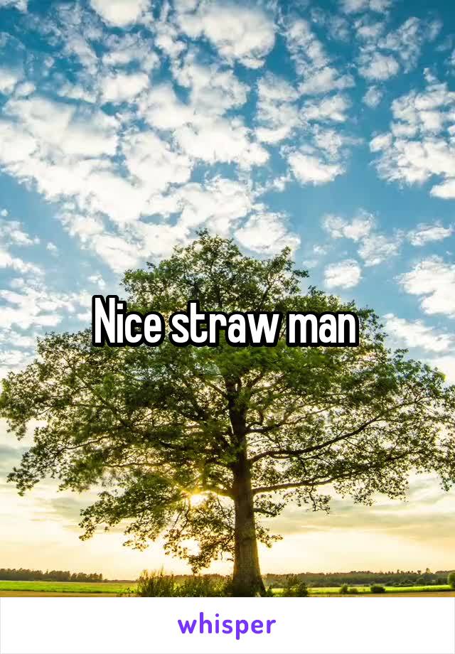 Nice straw man 