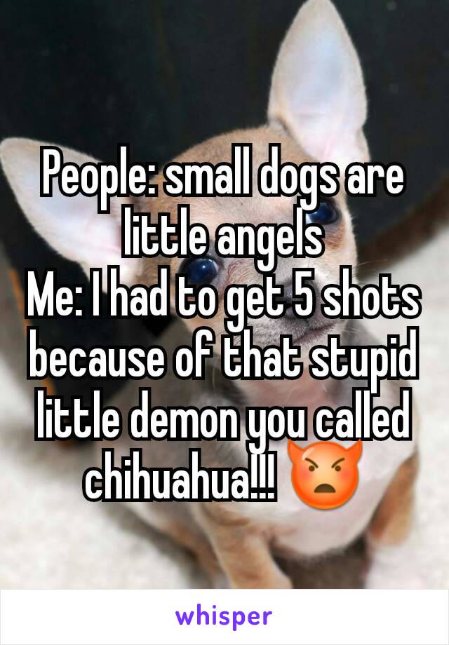 People: small dogs are little angels
Me: I had to get 5 shots because of that stupid little demon you called chihuahua!!! 👿