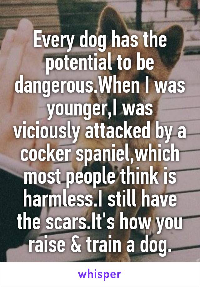 Every dog has the potential to be dangerous.When I was younger,I was viciously attacked by a cocker spaniel,which most people think is harmless.I still have the scars.It's how you raise & train a dog.