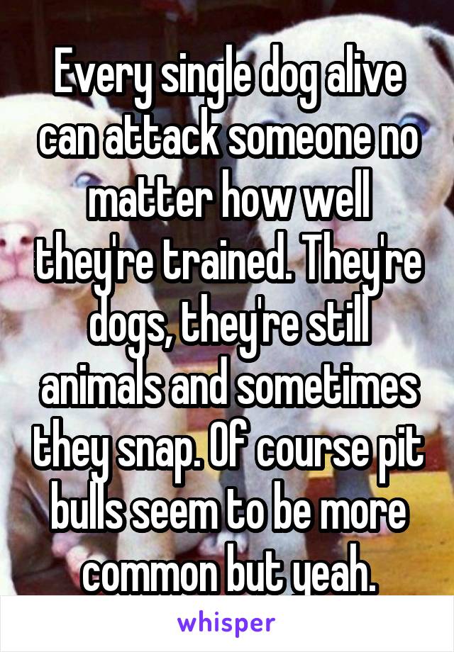 Every single dog alive can attack someone no matter how well they're trained. They're dogs, they're still animals and sometimes they snap. Of course pit bulls seem to be more common but yeah.