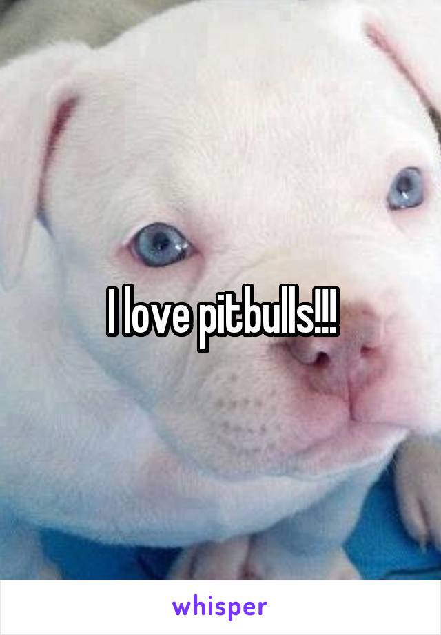 I love pitbulls!!!