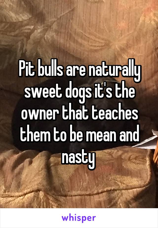 Pit bulls are naturally sweet dogs it's the owner that teaches them to be mean and nasty 