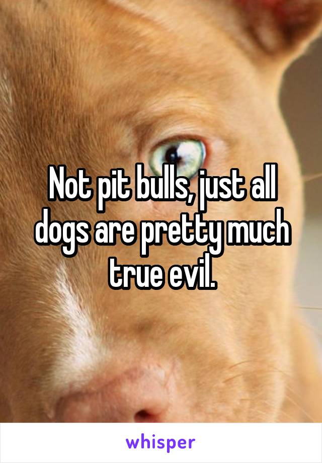 Not pit bulls, just all dogs are pretty much true evil.