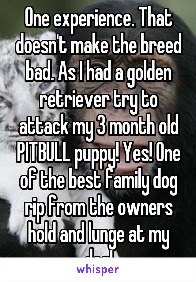 One experience. That doesn't make the breed bad. As I had a golden retriever try to attack my 3 month old PITBULL puppy! Yes! One of the best family dog rip from the owners hold and lunge at my dog!