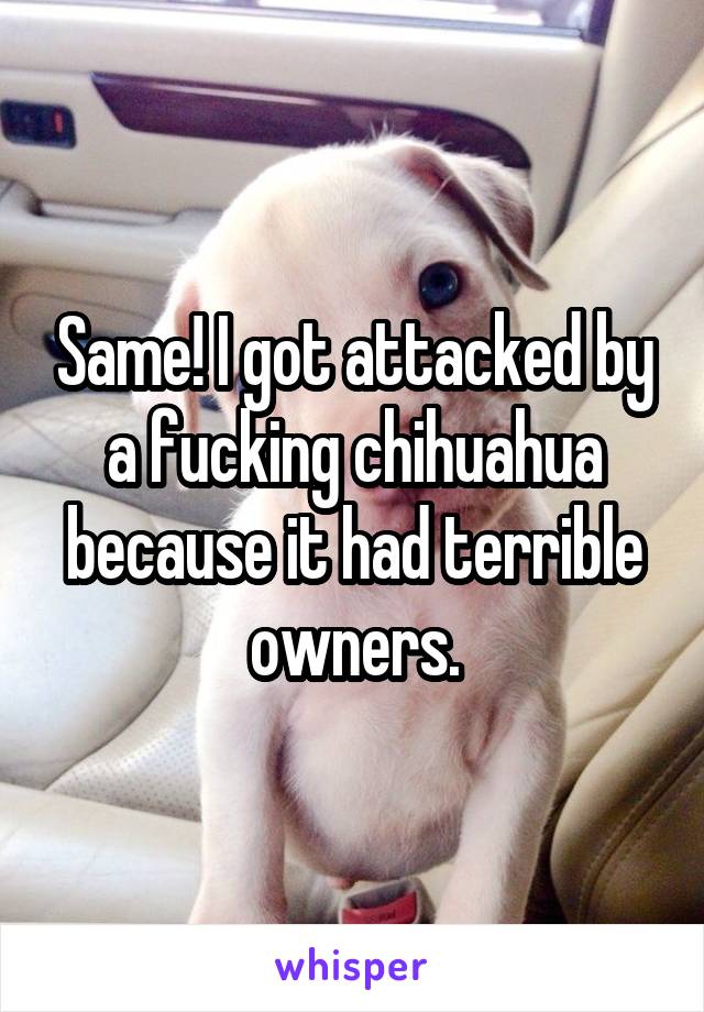 Same! I got attacked by a fucking chihuahua because it had terrible owners.