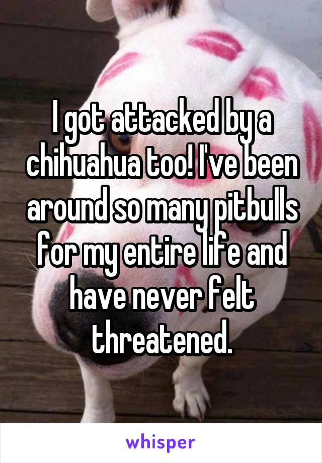 I got attacked by a chihuahua too! I've been around so many pitbulls for my entire life and have never felt threatened.