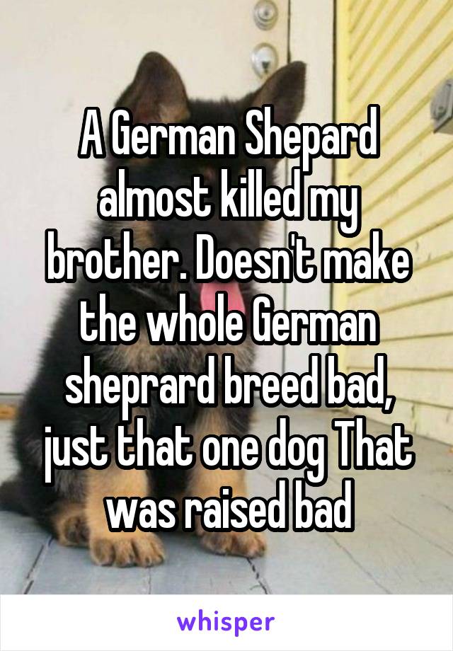 A German Shepard almost killed my brother. Doesn't make the whole German sheprard breed bad, just that one dog That was raised bad