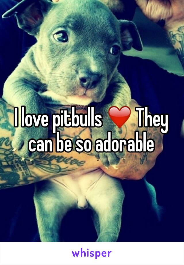 I love pitbulls ❤️ They can be so adorable