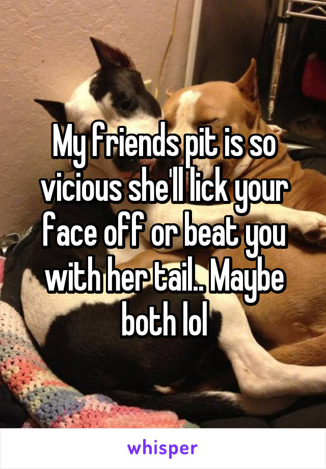 My friends pit is so vicious she'll lick your face off or beat you with her tail.. Maybe both lol