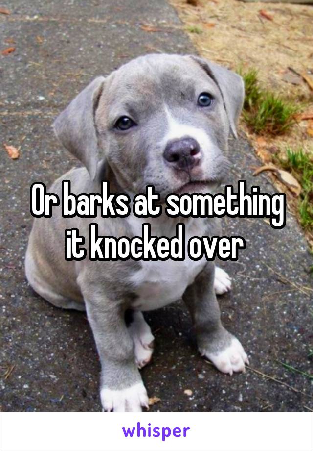 Or barks at something it knocked over 