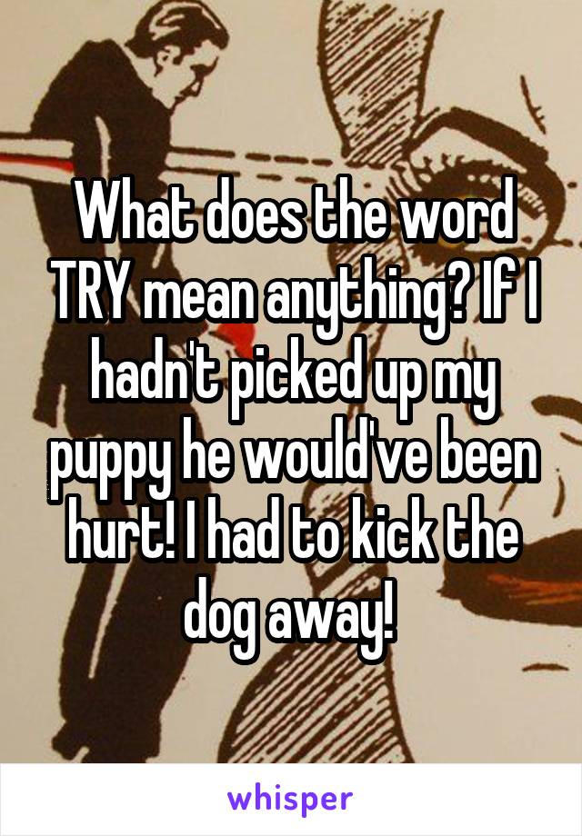 What does the word TRY mean anything? If I hadn't picked up my puppy he would've been hurt! I had to kick the dog away! 