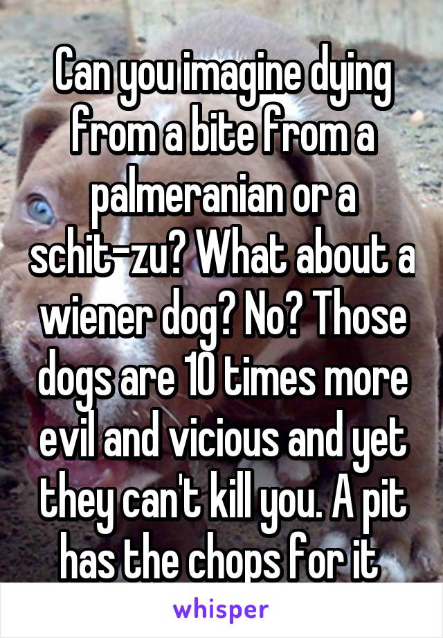 Can you imagine dying from a bite from a palmeranian or a schit-zu? What about a wiener dog? No? Those dogs are 10 times more evil and vicious and yet they can't kill you. A pit has the chops for it 