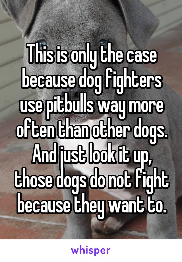 This is only the case because dog fighters use pitbulls way more often than other dogs. And just look it up, those dogs do not fight because they want to.