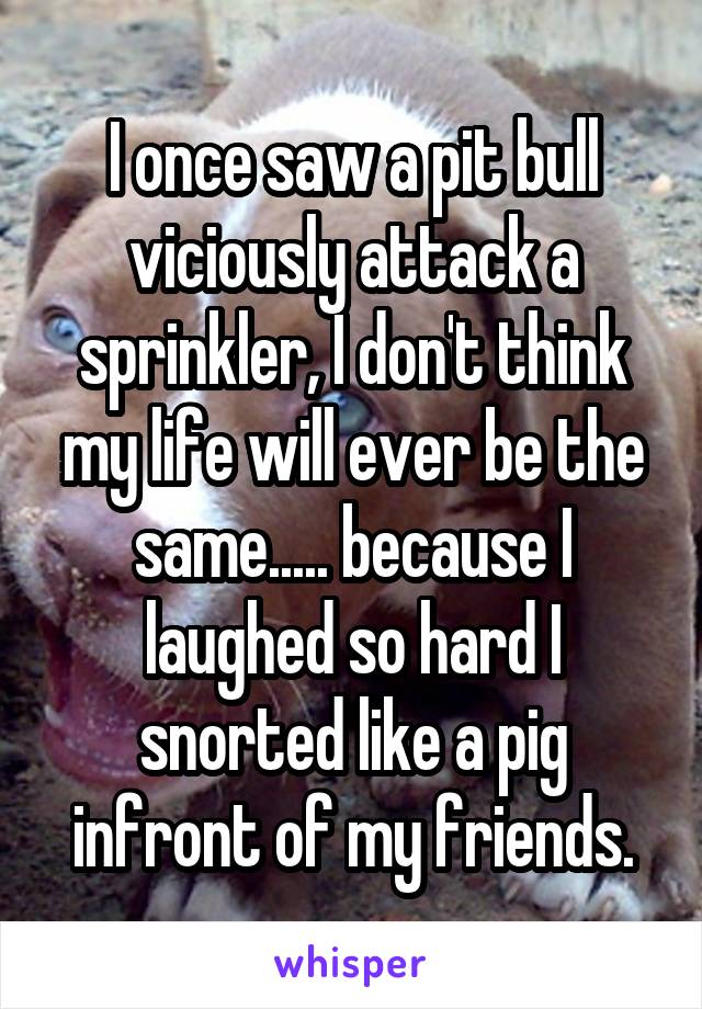 I once saw a pit bull viciously attack a sprinkler, I don't think my life will ever be the same..... because I laughed so hard I snorted like a pig infront of my friends.