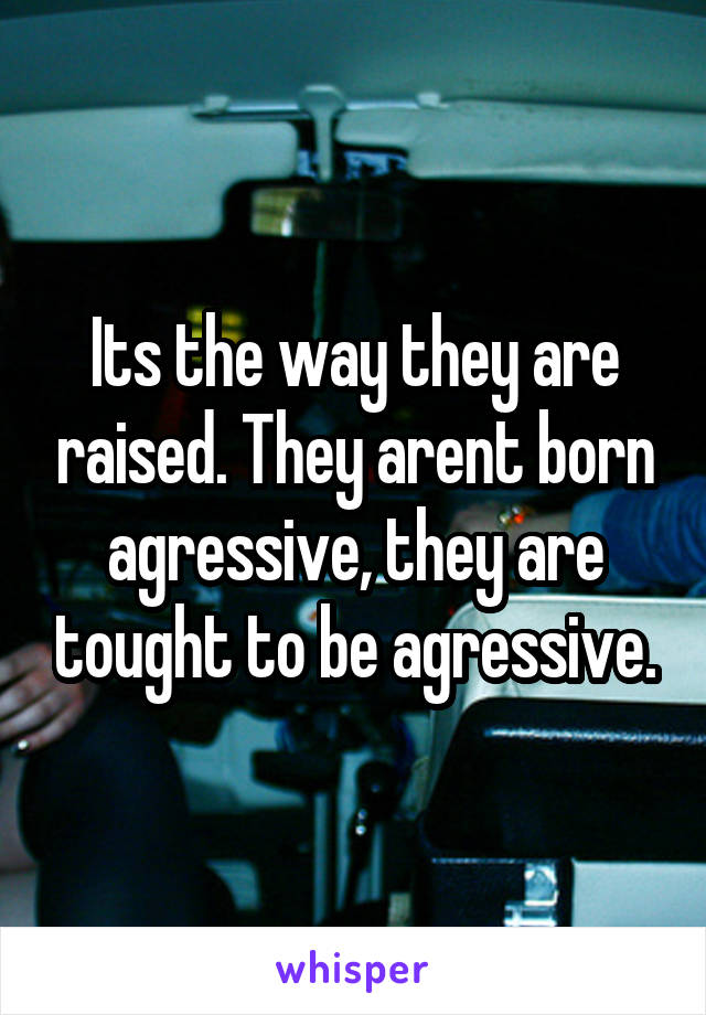 Its the way they are raised. They arent born agressive, they are tought to be agressive.