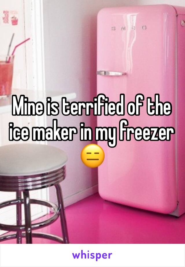 Mine is terrified of the ice maker in my freezer 😑