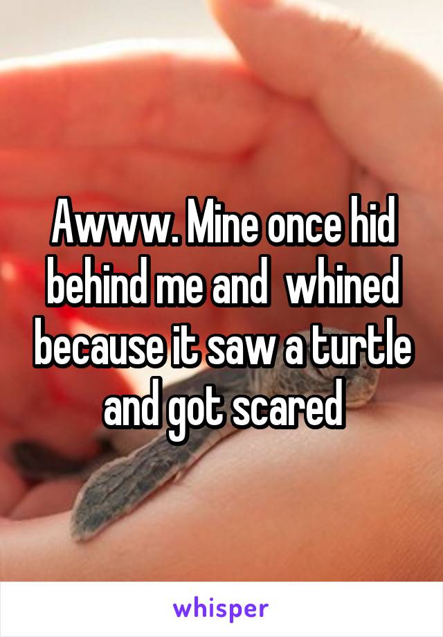 Awww. Mine once hid behind me and  whined because it saw a turtle and got scared