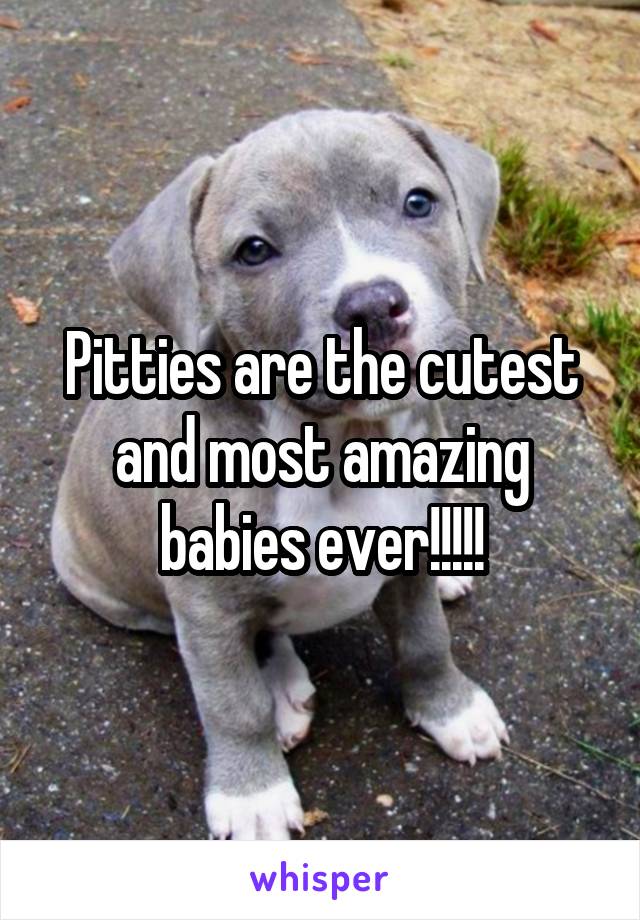 Pitties are the cutest and most amazing babies ever!!!!!