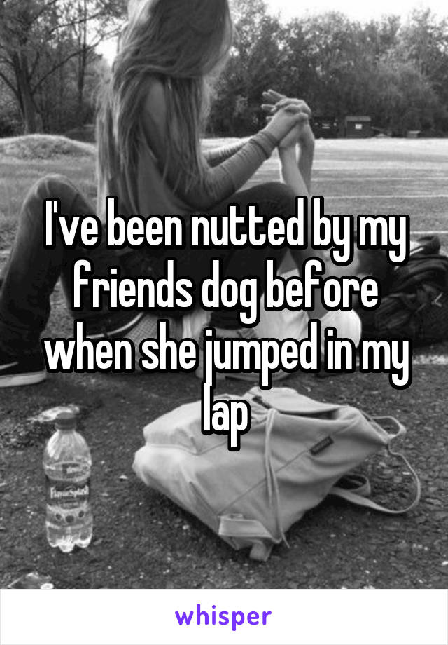 I've been nutted by my friends dog before when she jumped in my lap